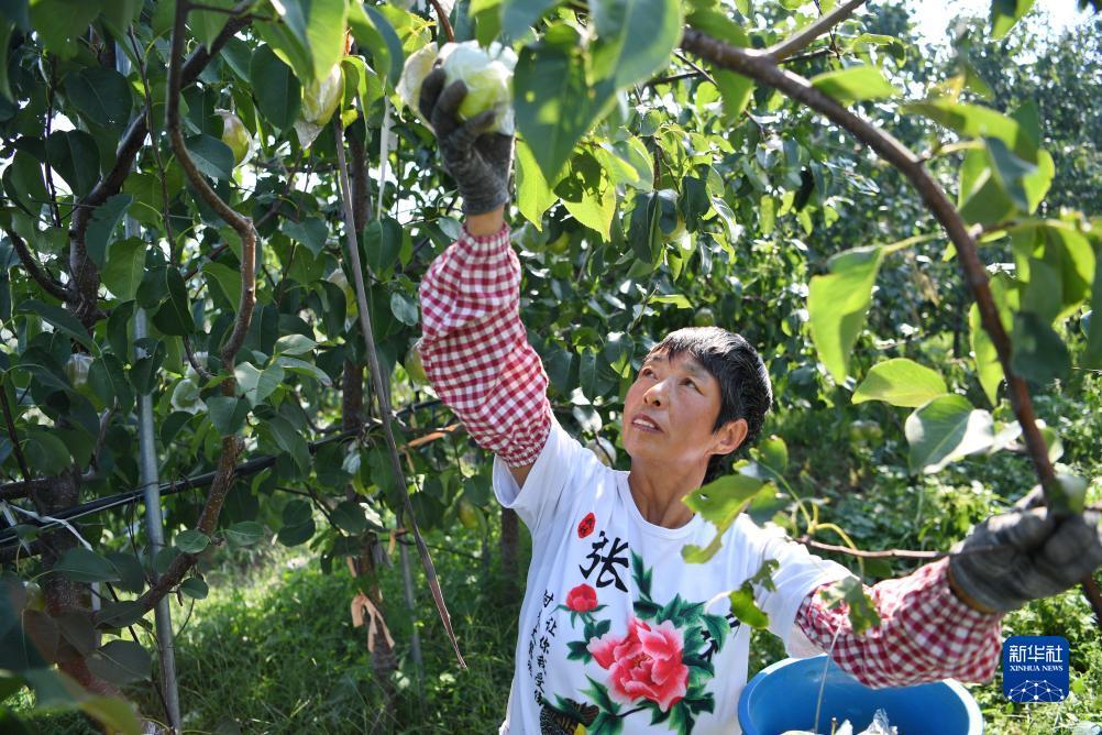 捕鱼达人游戏机经销商